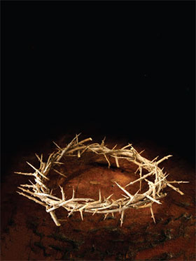 crown of thorns
